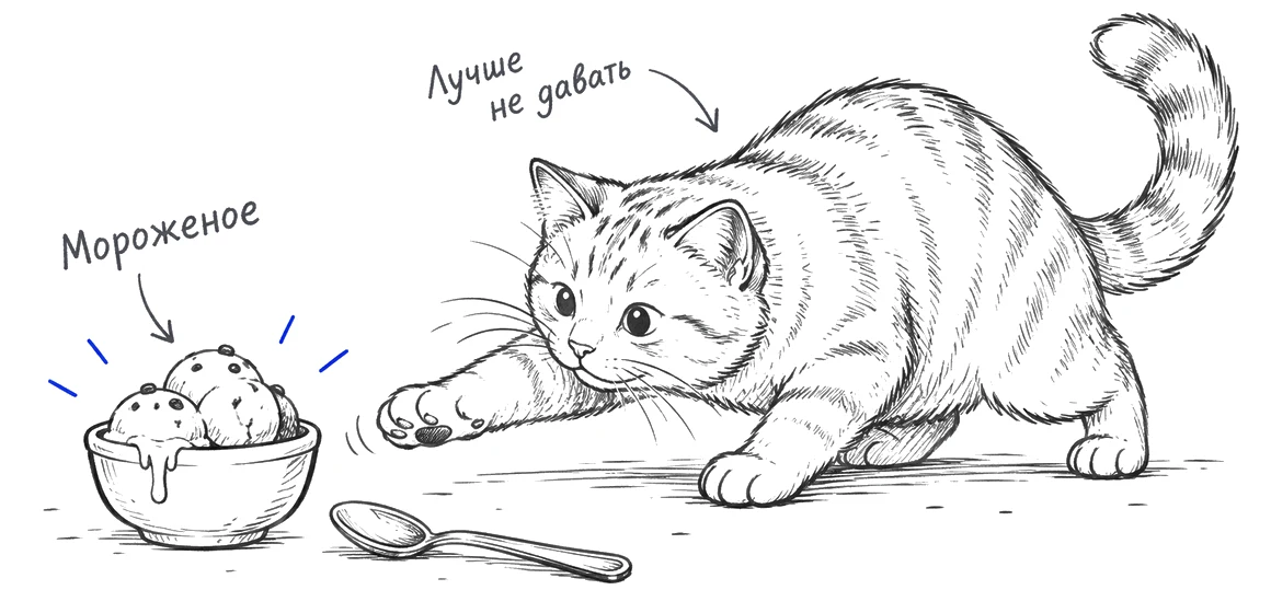 Кошка тянется к миске с мороженым, которую от неё отодвинули.